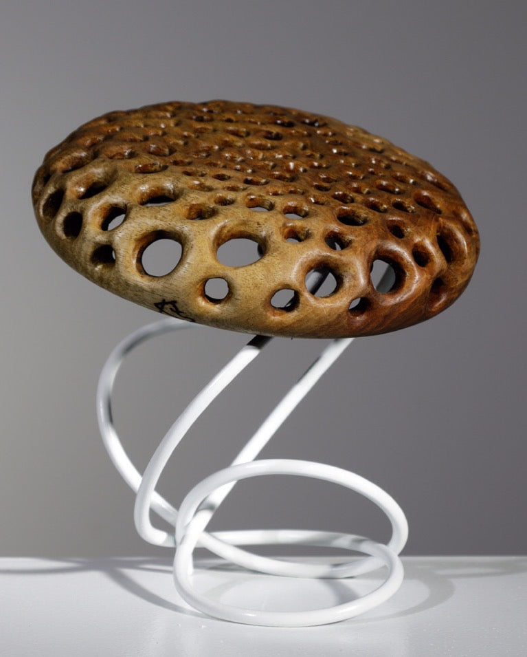 MUSHROOM