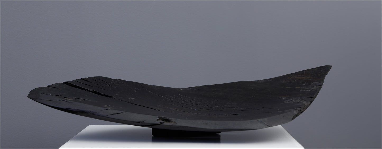 BLACK CURVE